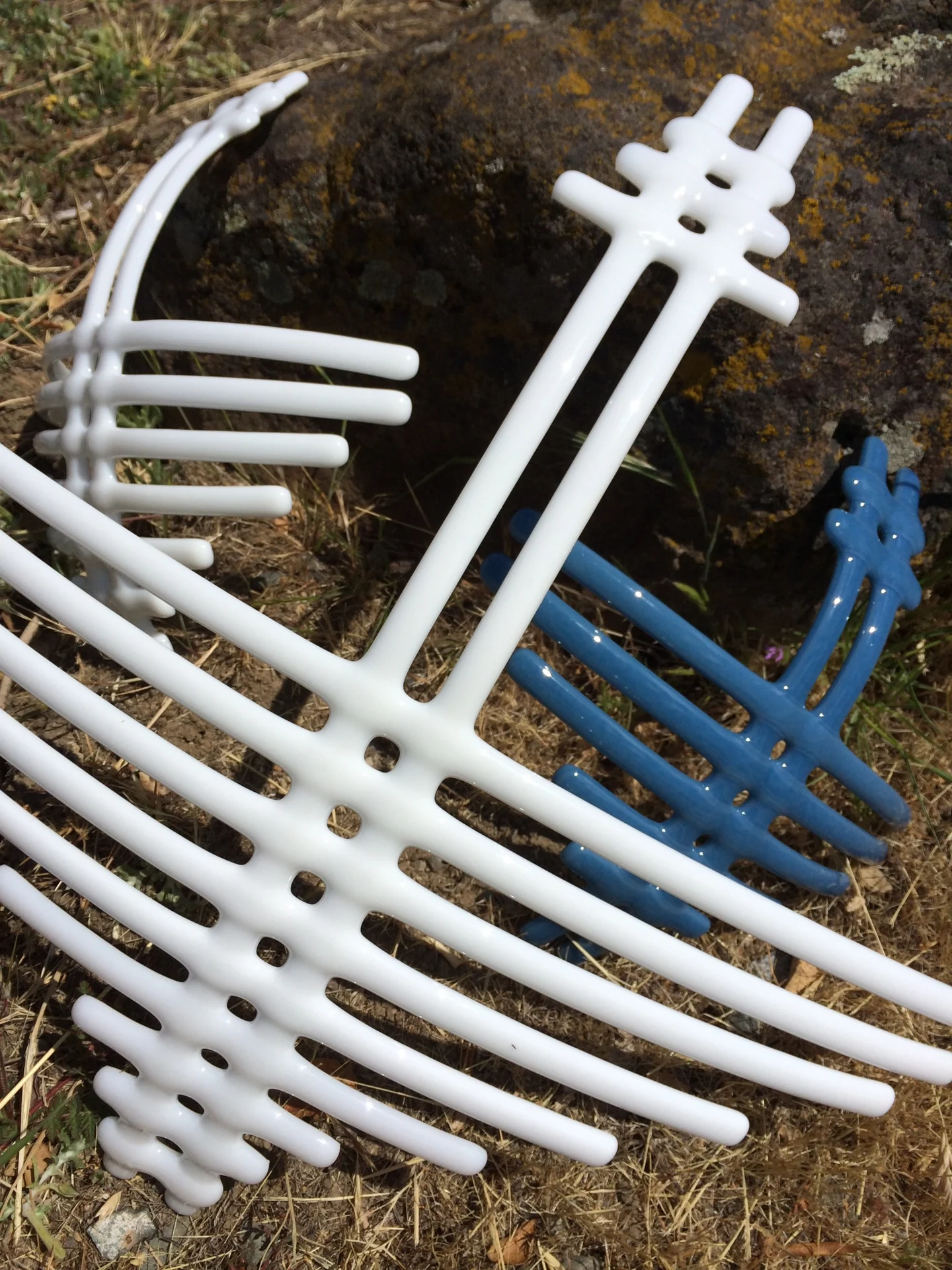 Several open white branching bar forms cross a smaller blue one beside a dark rock and dry ground.