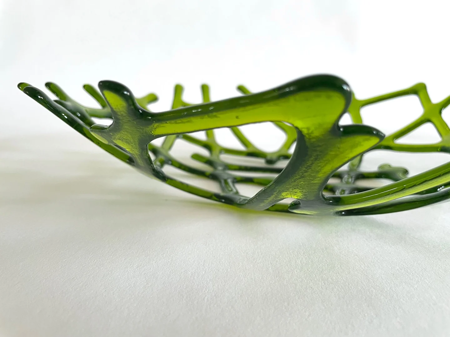 An irregular open green form with branching loops is seen from the side against a white background.